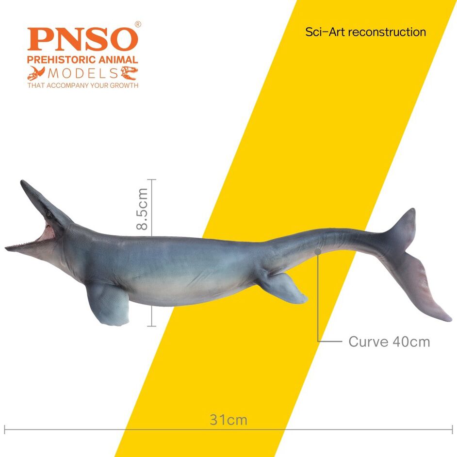 Model measurements PNSO Tylosaurus