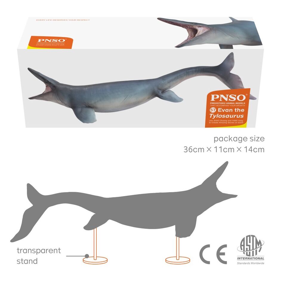 Product packaging and support stands.