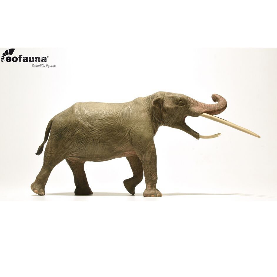 Eofauna Konobelodon atticus
