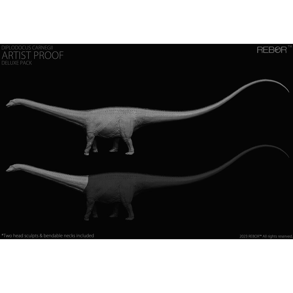 Diplodocus carnegii Artist Proof.