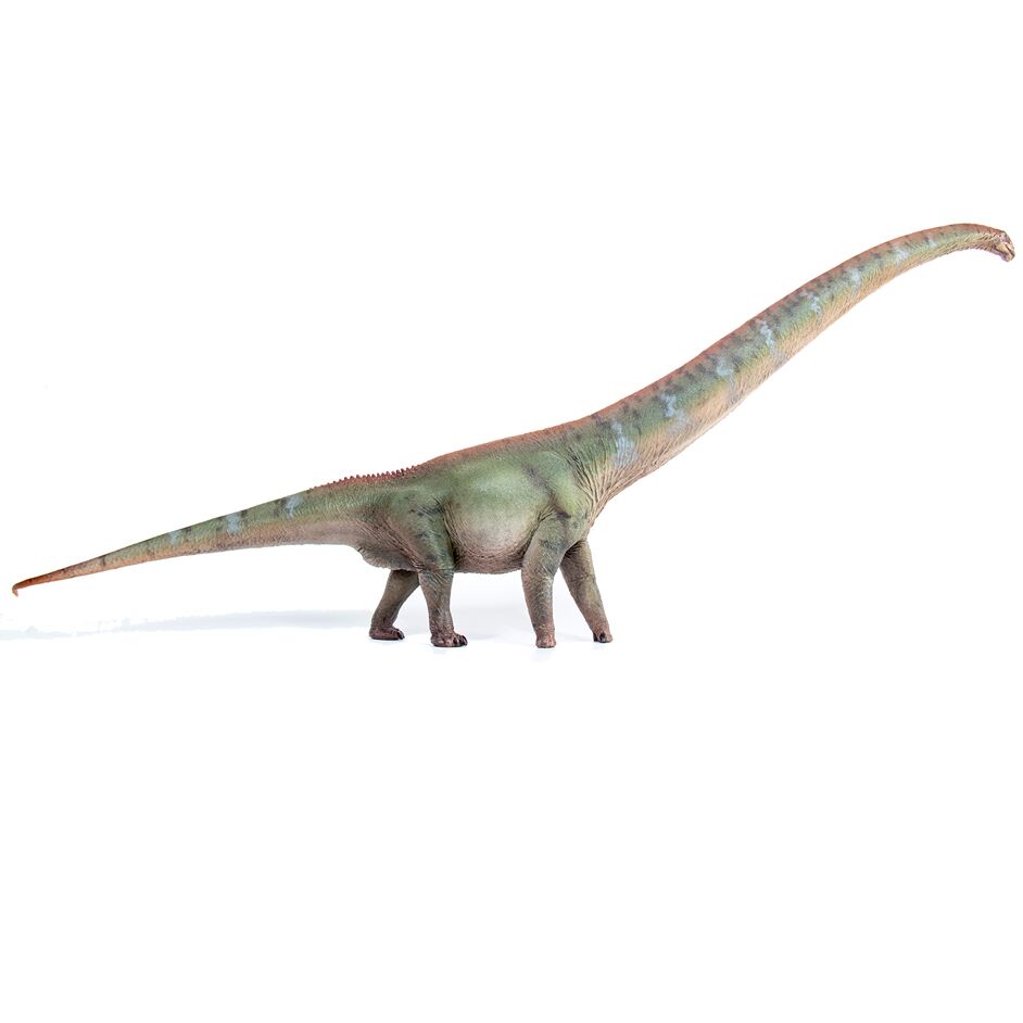 Haolonggood Mamenchisaurus Model (Chai Jin)