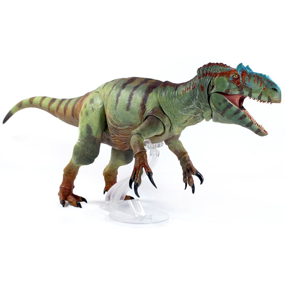 Beasts of the Mesozoic Allosaurus fragilis - Everything Dinosaur