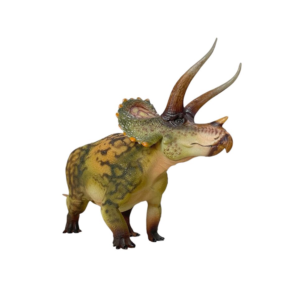 【新品未開封】TRICERATOPS/GOING TO THE MOON Haolonggood Triceratops (Qin Ming) - Everything Dinosaur