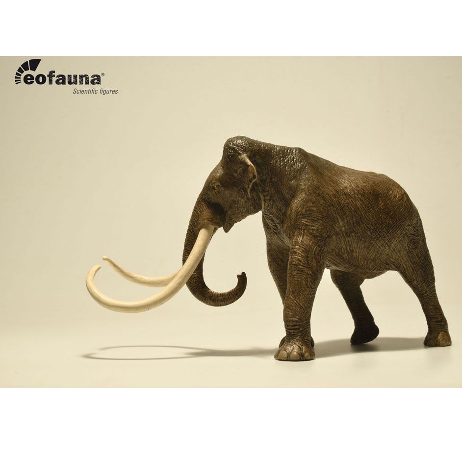 Eofauna Columbian Mammoth - Everything Dinosaur
