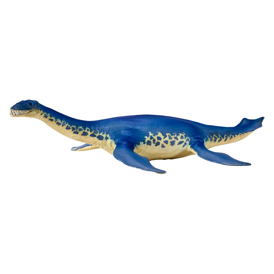 Mojo Fun Cryptoclidus - Everything Dinosaur