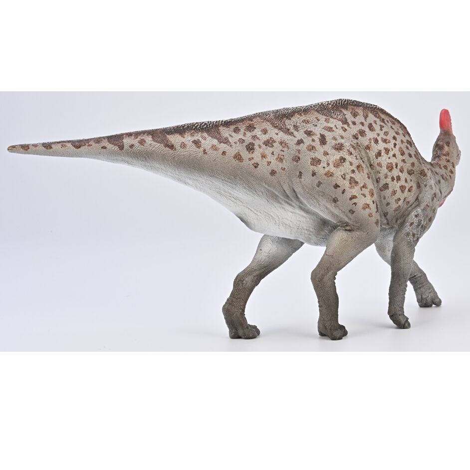 Posterior view of the giant lambeosaurine dinosaur (Magnapaulia).