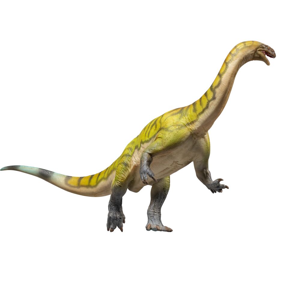 PNSO Yiran the Lufengosaurus - Everything Dinosaur