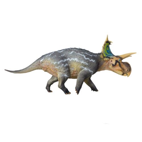 Haolonggood Triceratops (Qin Ming) - Everything Dinosaur