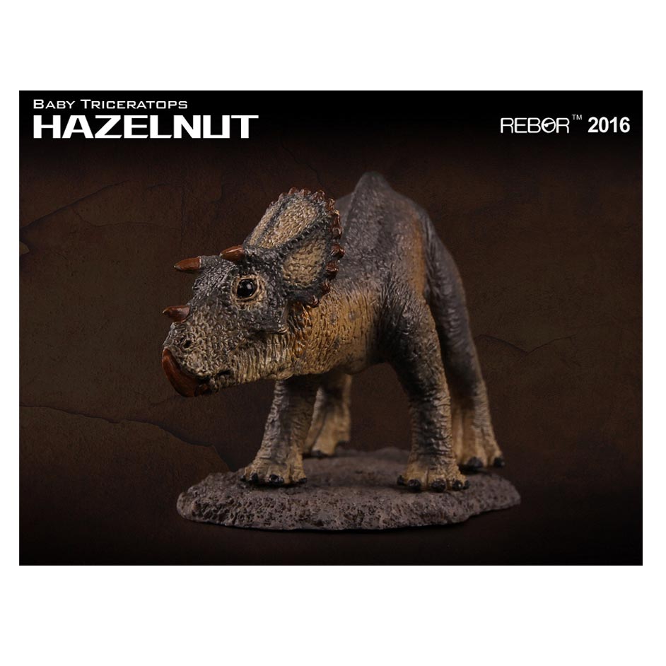 Rebor "Hazelnut" Triceratops dinosaur.