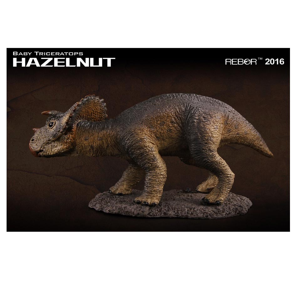 Rebor "Hazelnut" Triceratops dinosaur.
