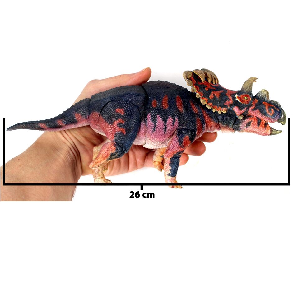 Beasts of the Mesozoic Kosmoceratops richardsoni measurements