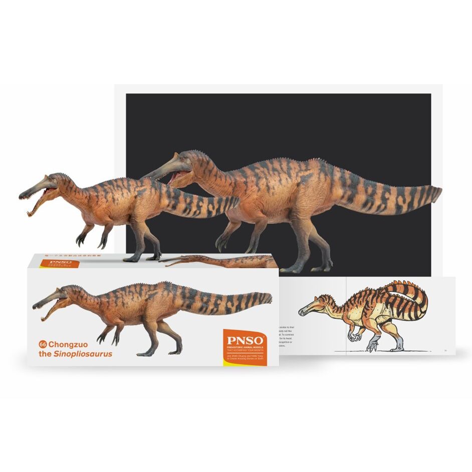 PNSO Chongzuo the Sinopliosaurus