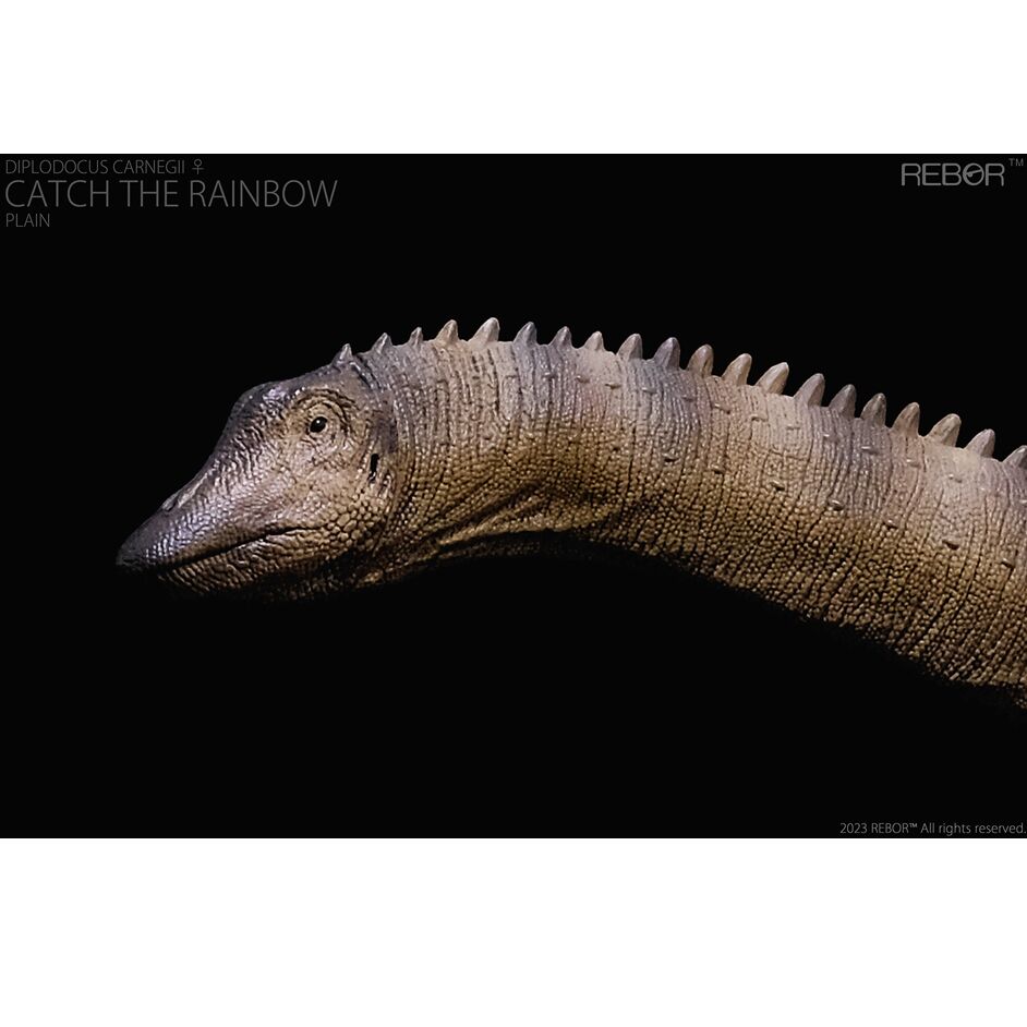 Diplodocus head close-up view "Catch the Rainbow".