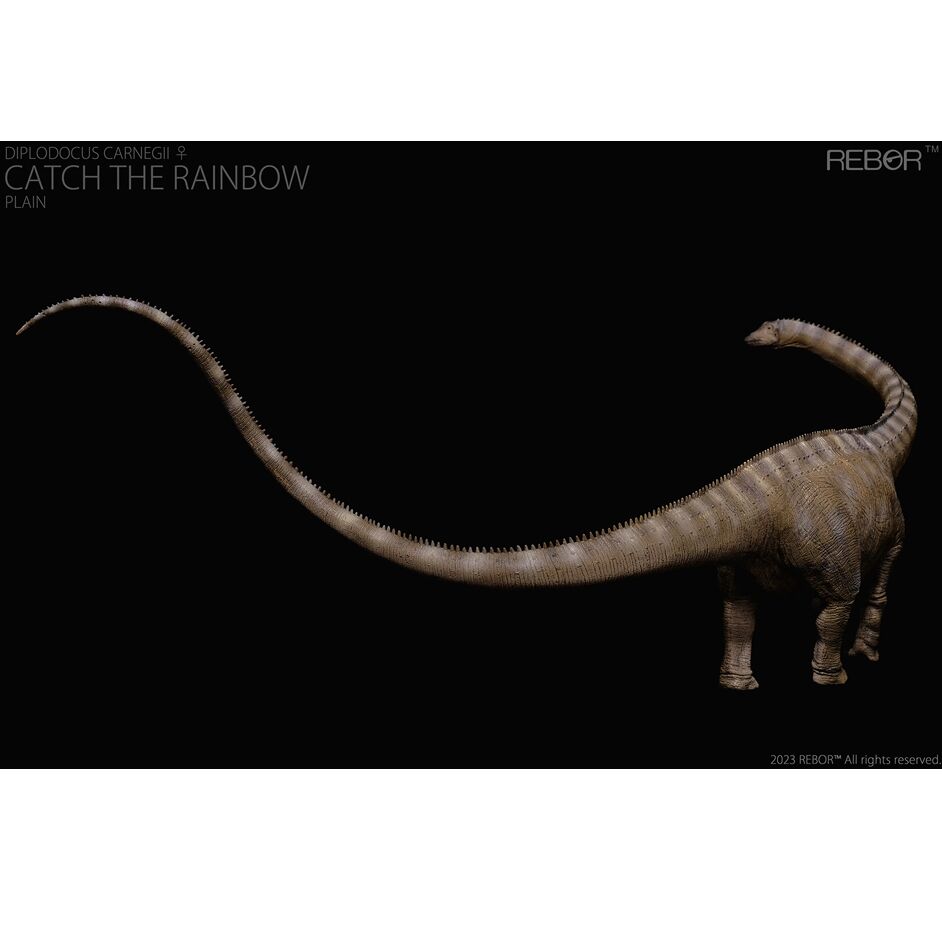 Rebor Diplodocus in posterior view.