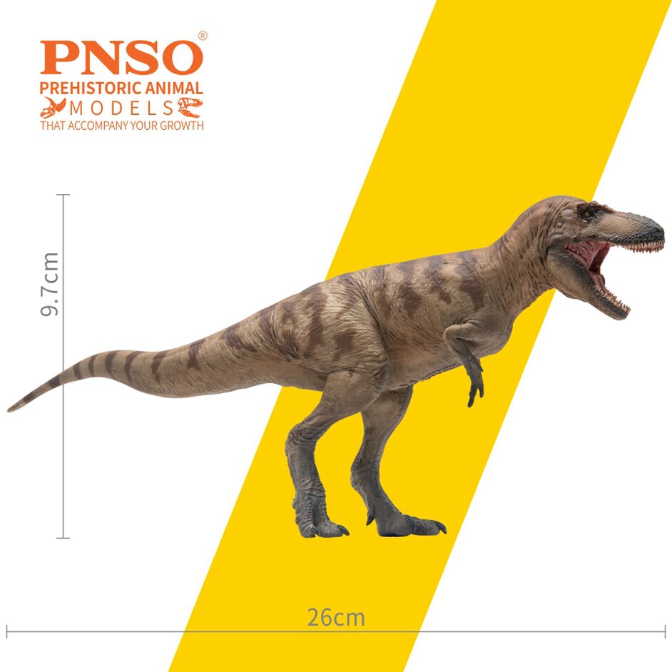 Daspletosaurus model measurements.