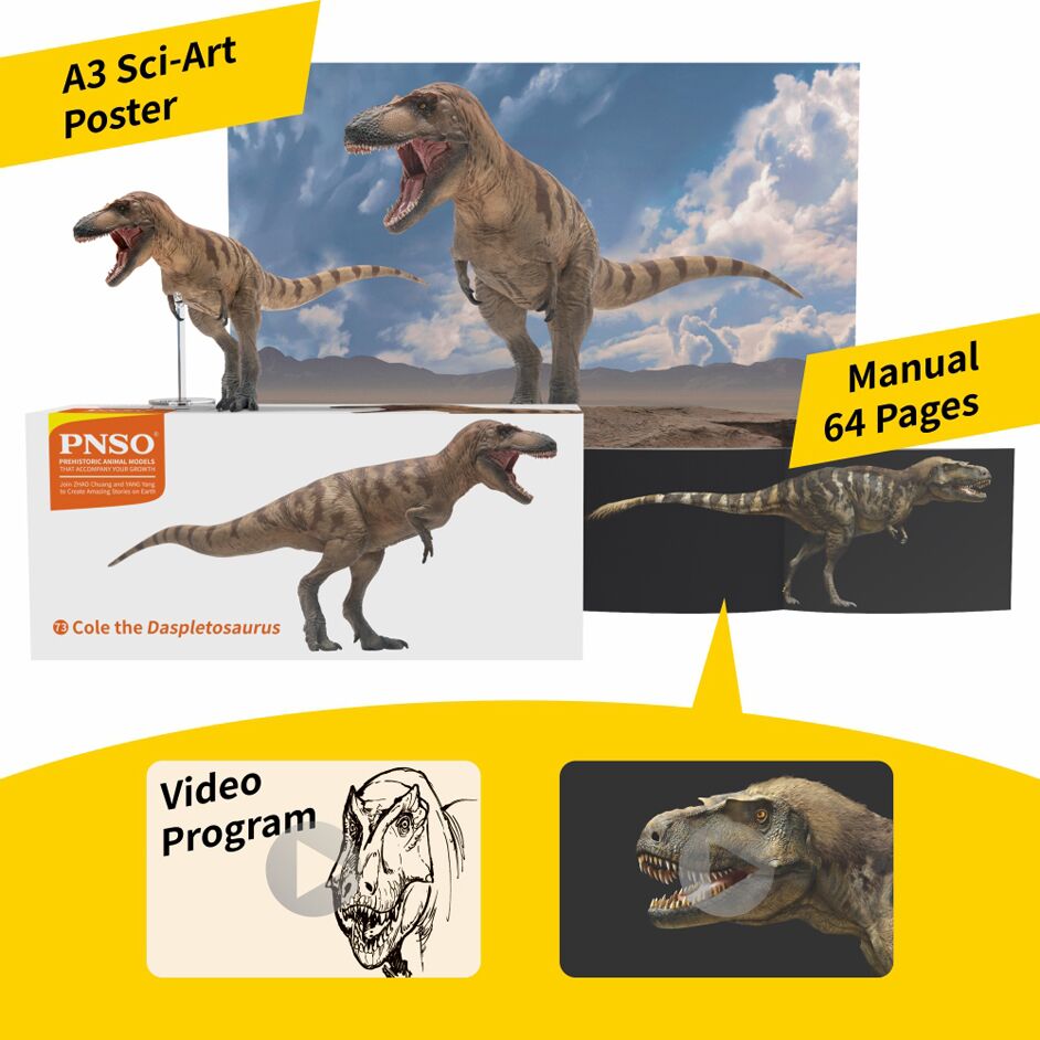 Daspletosaurus dinosaur model supplied with Sci-Art poster and booklet.