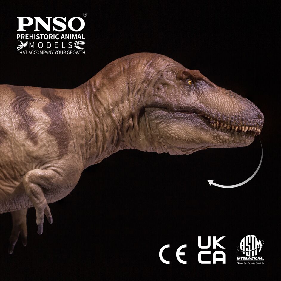 The PNSO Daspletosaurus has an articulated lower jaw.