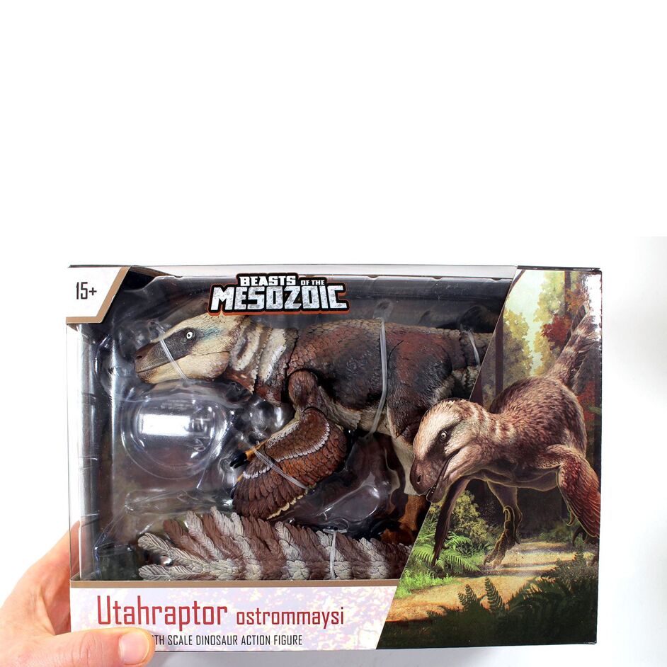 Articulated U. ostrommaysi model packaging.