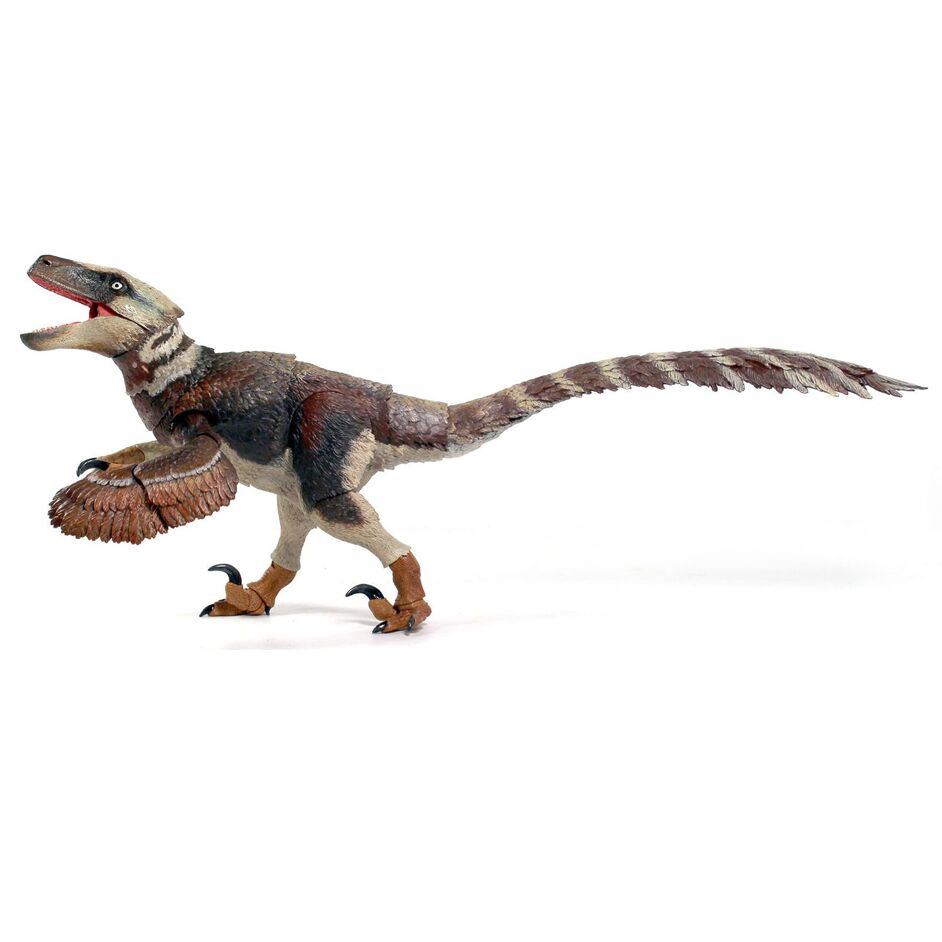 Beasts of the Mesozoic Utahraptor ostrommaysi