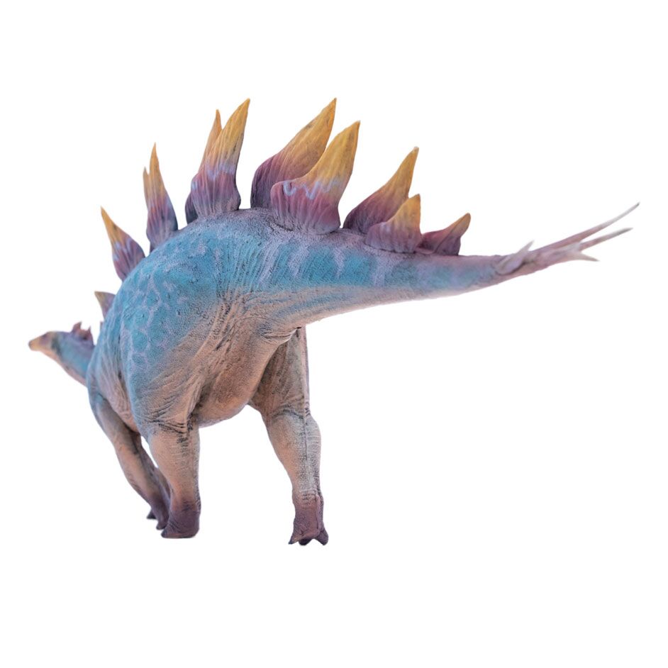 Stegosaurus figure in posterior view.