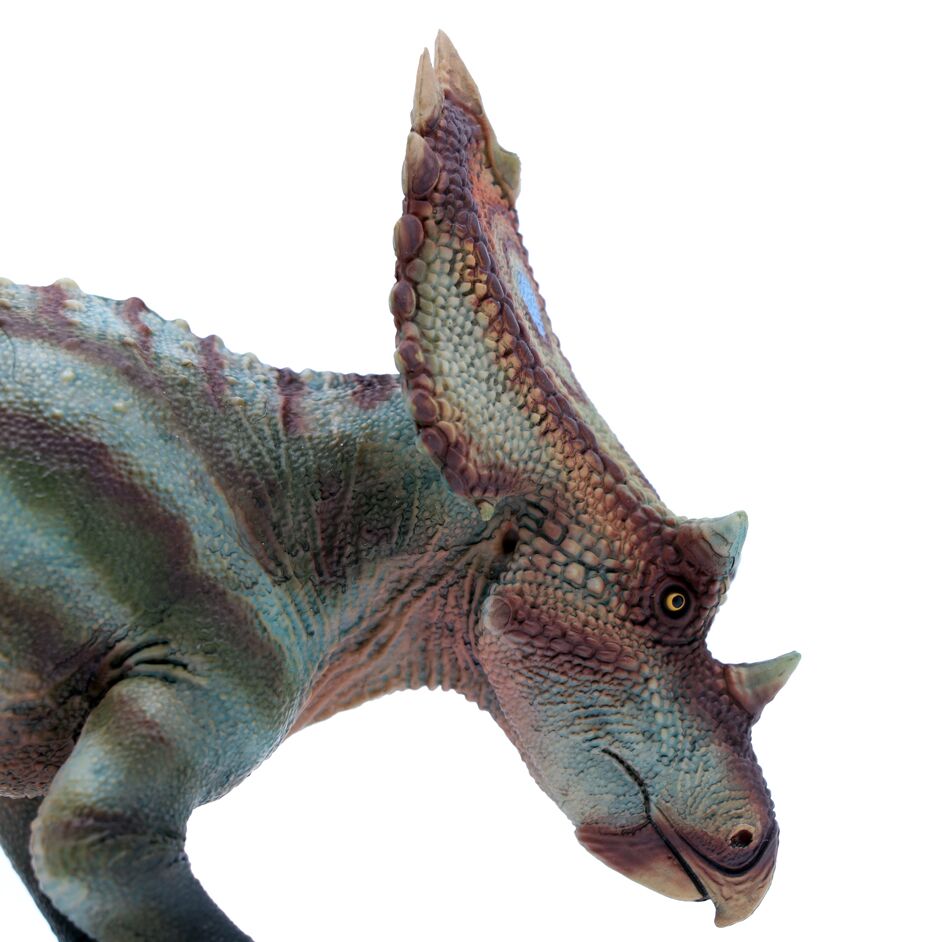 A close view of the head of Ding De Sun.