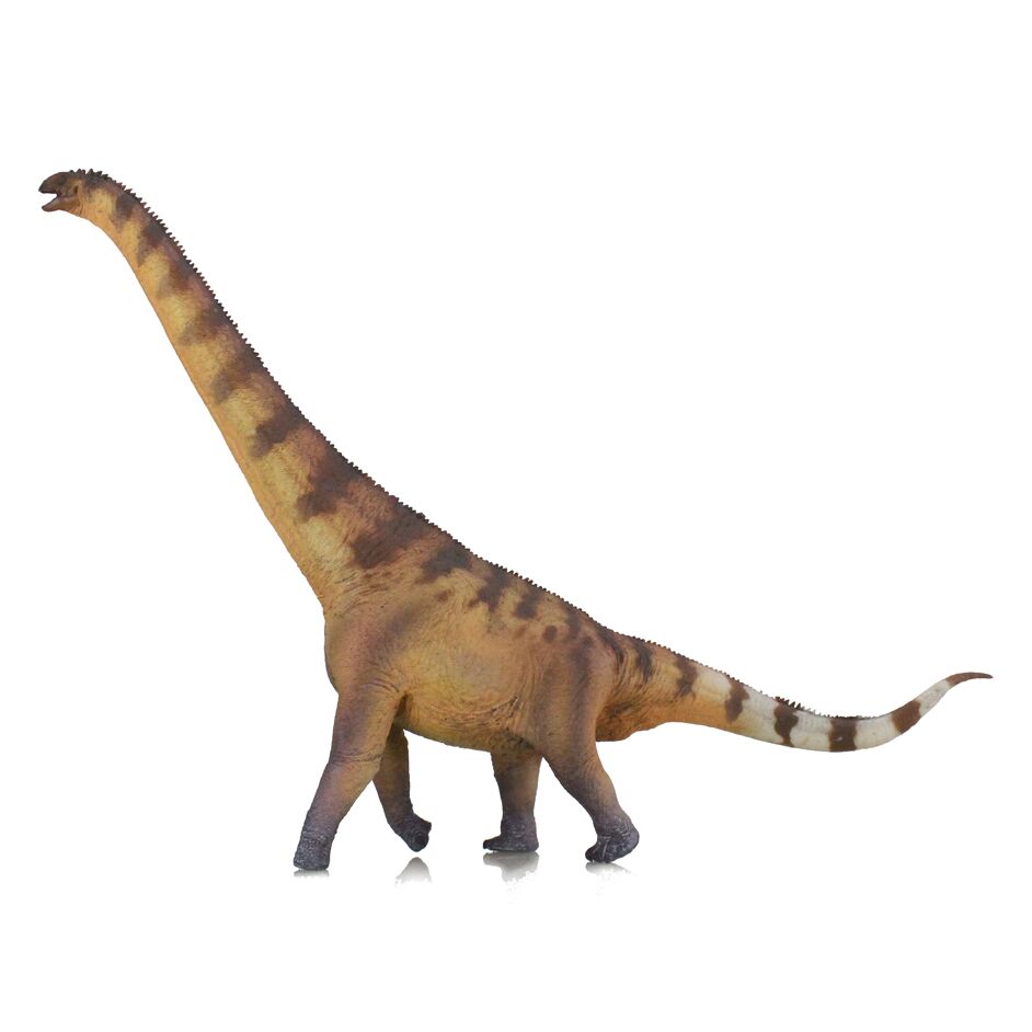 Haolonggood Euhelopus Jiang Jing