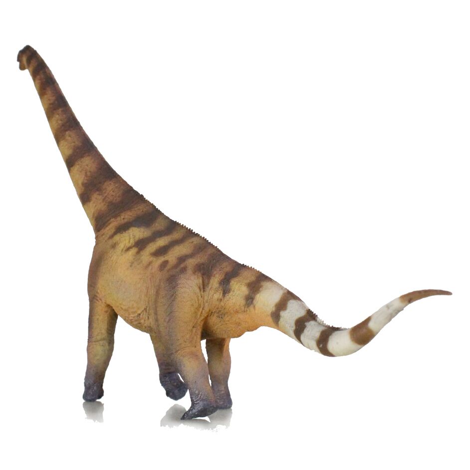 Brown sauropod figure shown in posterior view.
