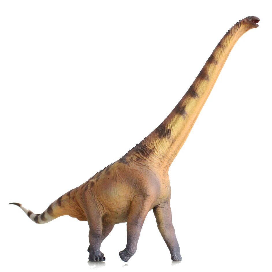 Haolonggood Euhelopus Jiang Jing