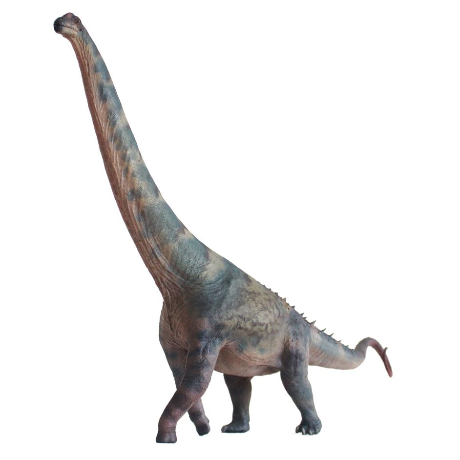 Haolonggood Alamosaurus Li Ying