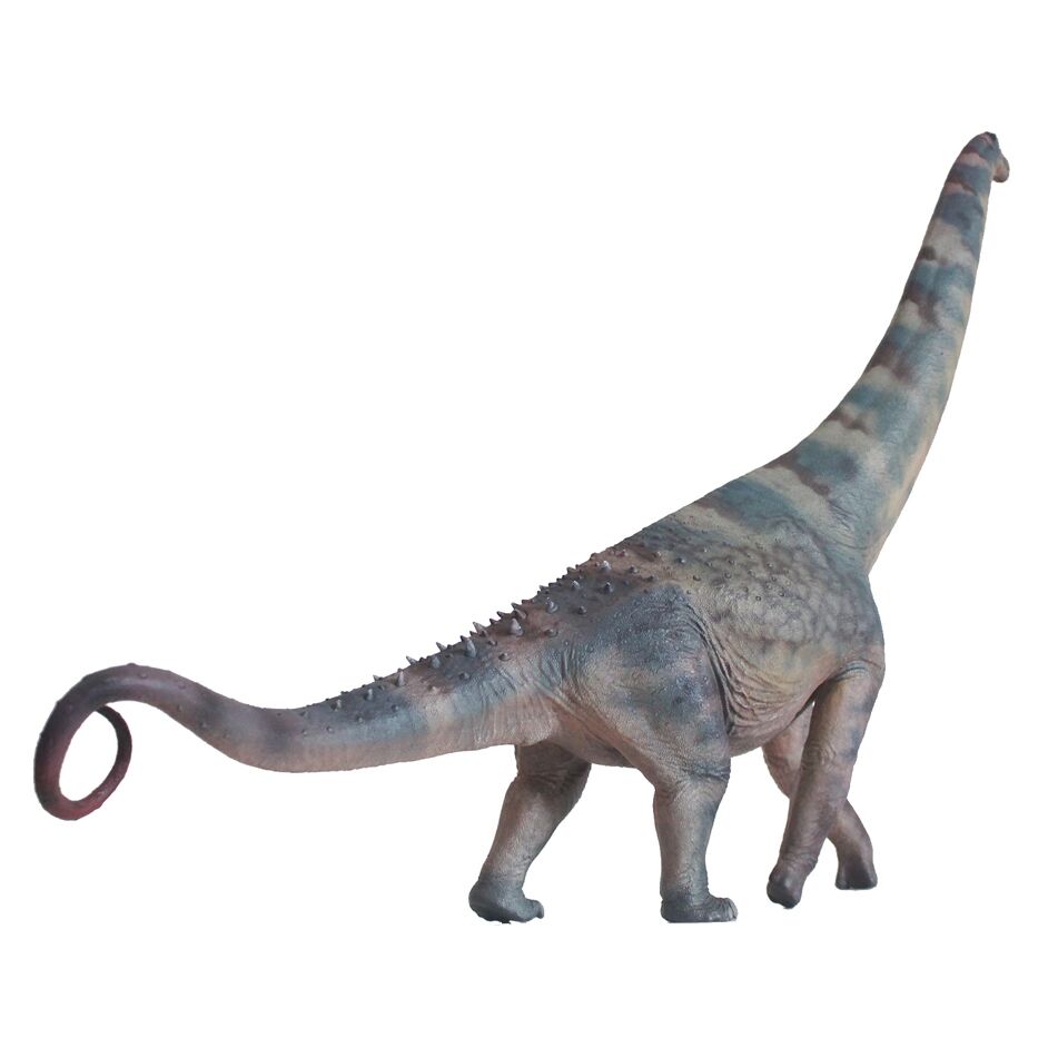 Haolonggood Alamosaurus A (Li Ying)