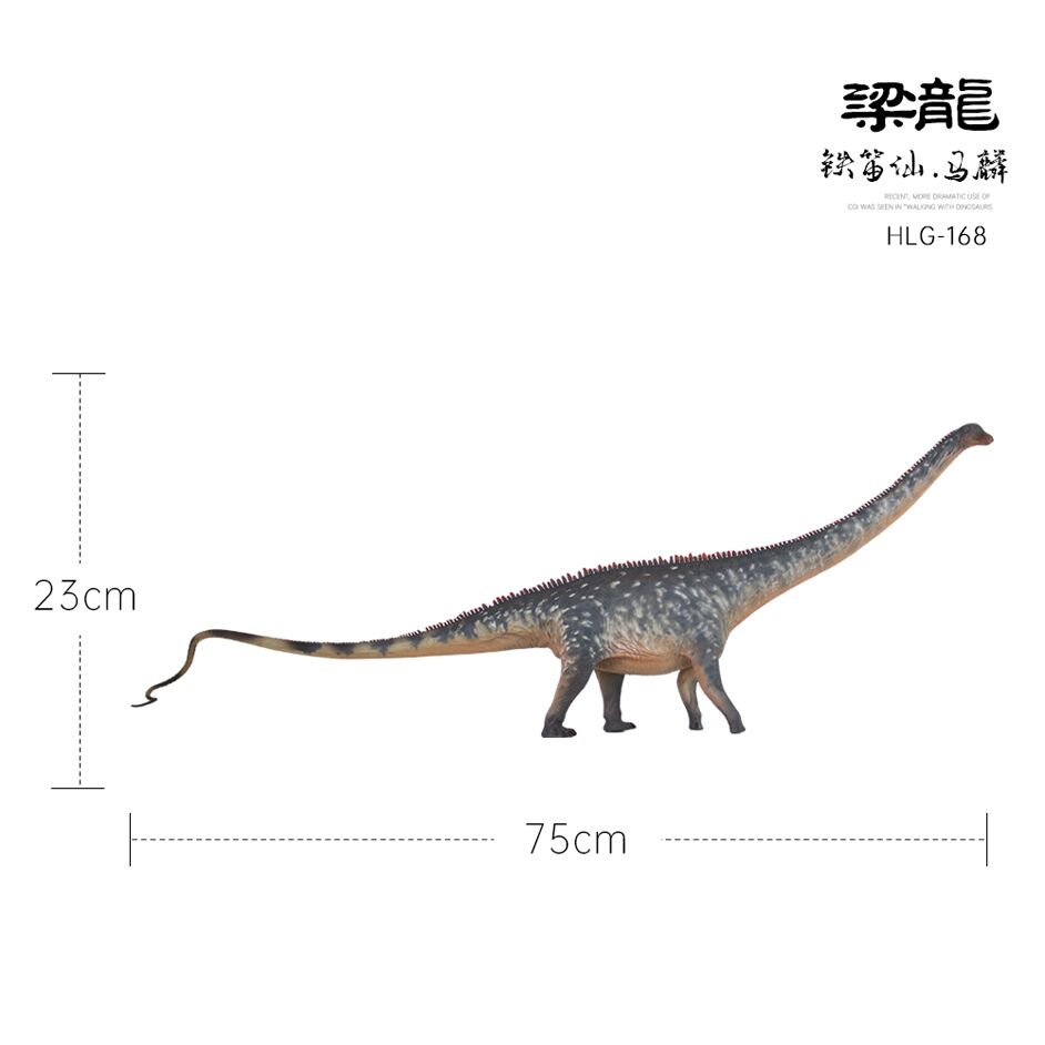 1:35 scale Diplodocus (Ma Lin) measurements.