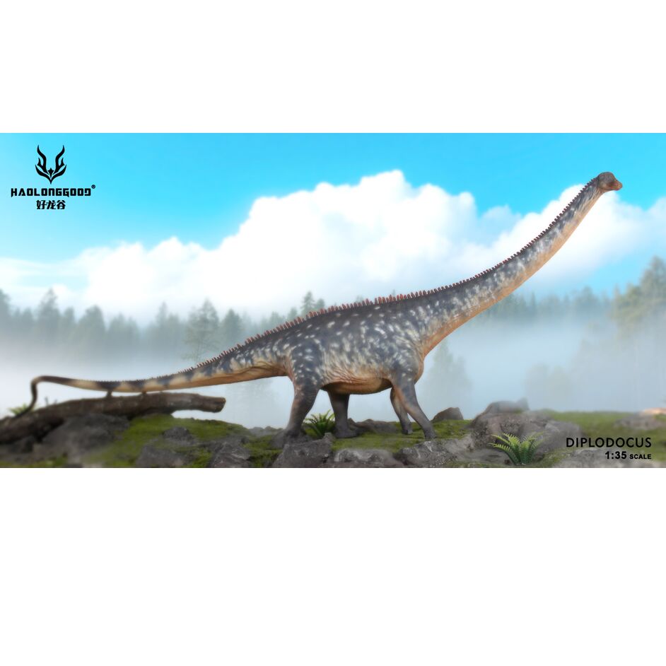Haolonggood Diplodocus Ma Lin