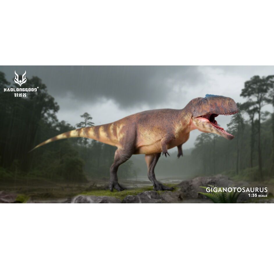 Haolonggood Giganotosaurus Guan Sheng