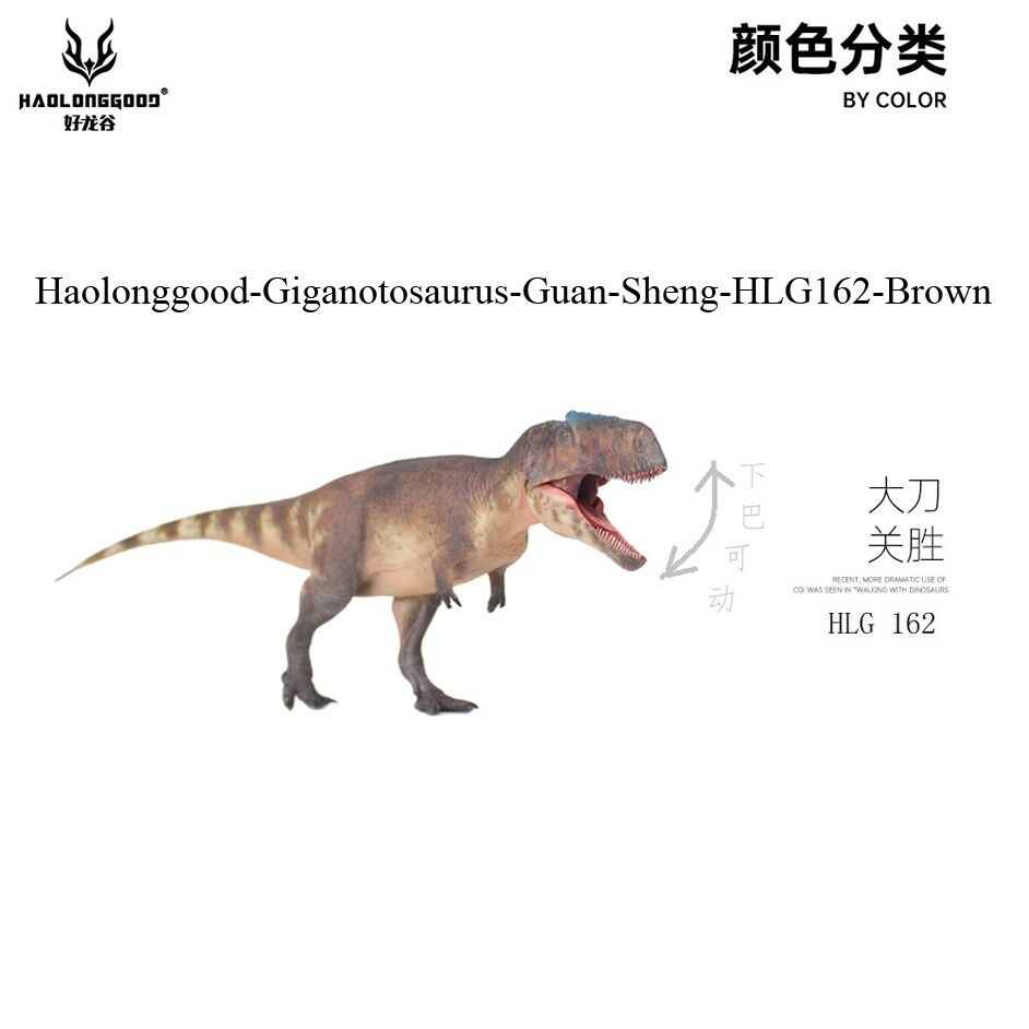 Haolonggood Giganotosaurus Guan Sheng
