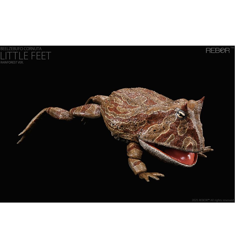 Rebor Beelzebufo cornuta jumping pose.
