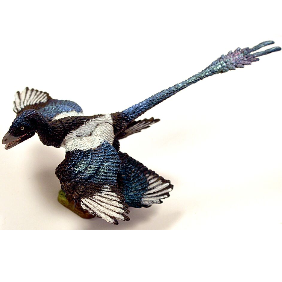 Microraptor - Beasts of the Mesozoic Eastern Pack.