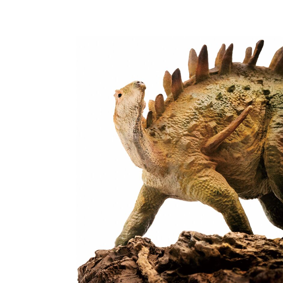 PNSO Xiaobei the Chungkingosaurus.