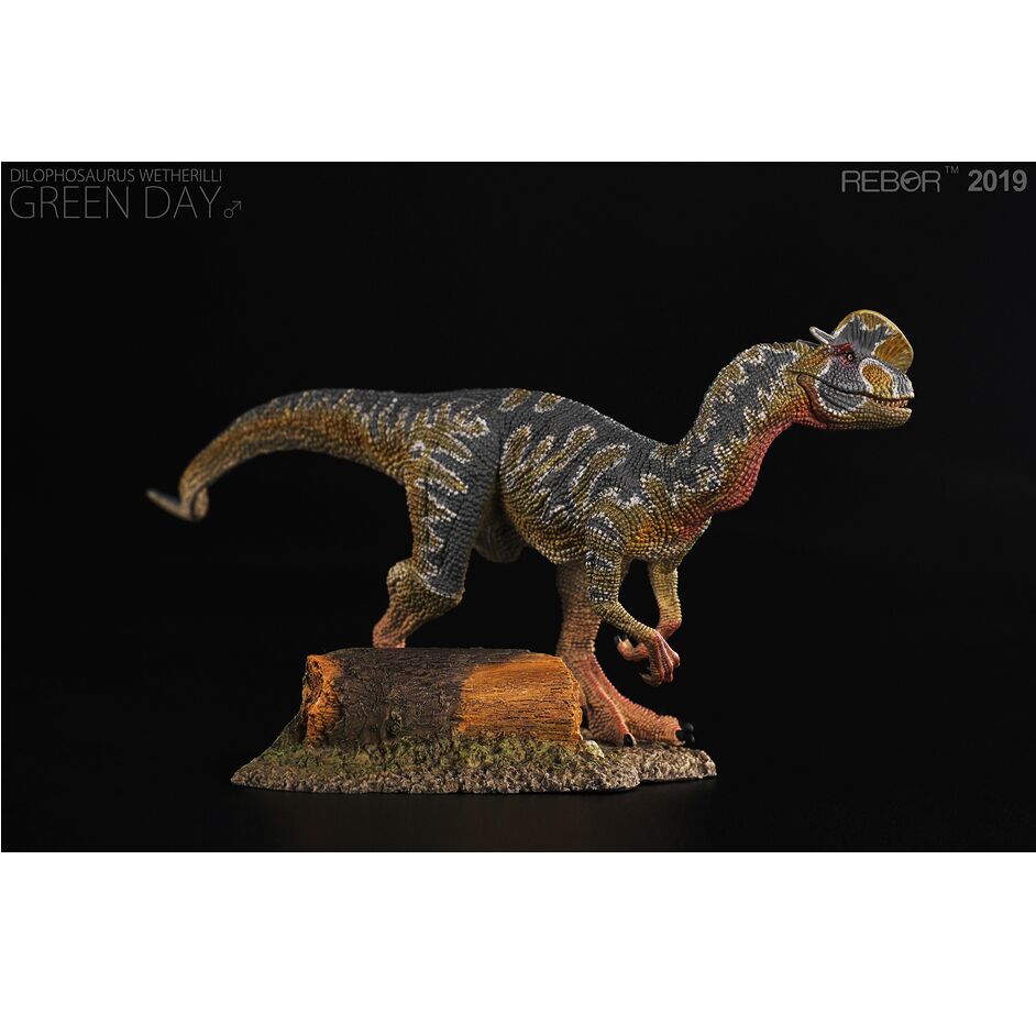 Rebor Dilophosaurus (Green Day).