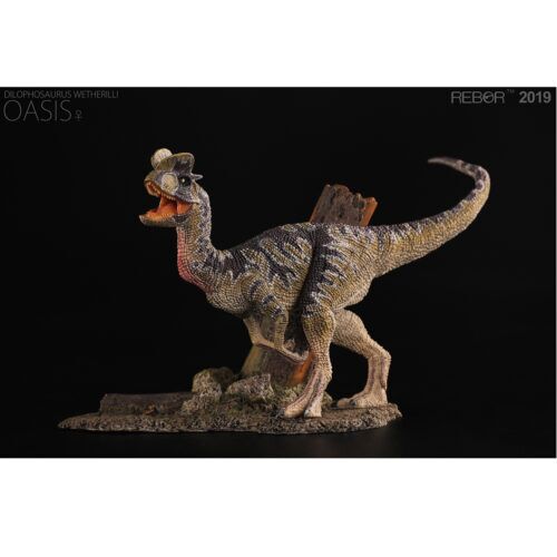 1/35 スケール Rebor T rex REBOR 1/35 Tyrannosaurus T-Rex Model Dinosaur Figure Decor