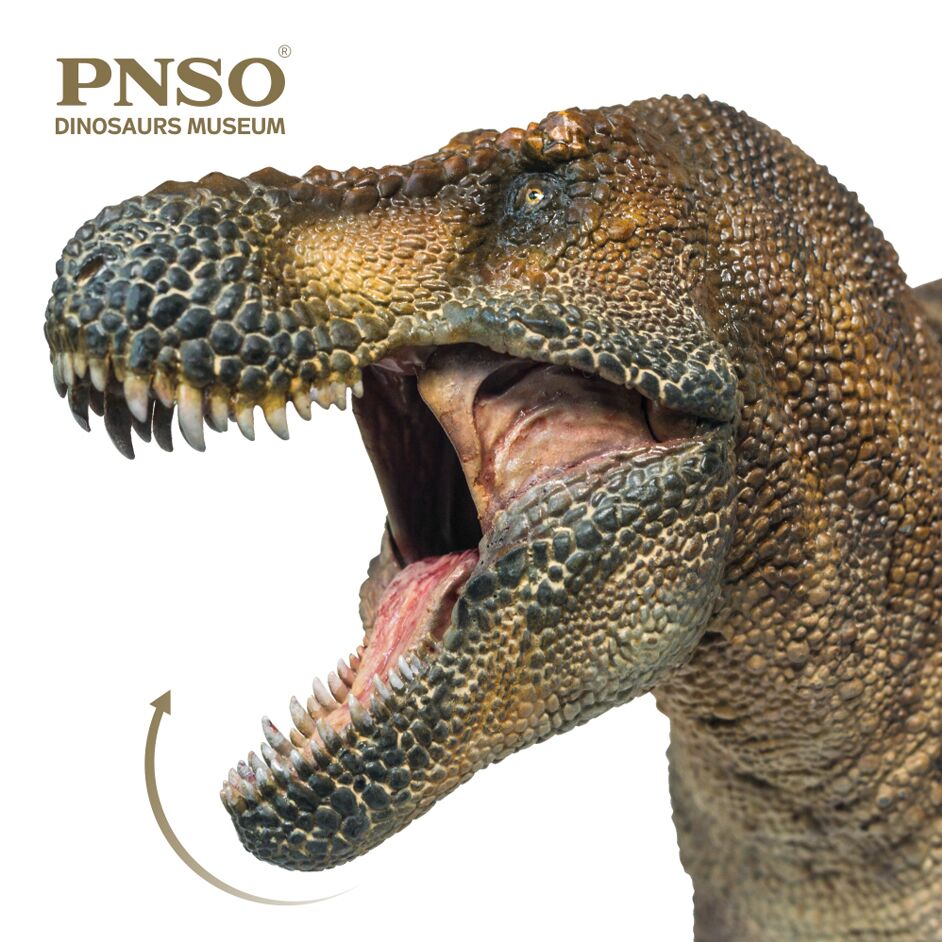 PNSO Wilson T. rex dinosaur replica