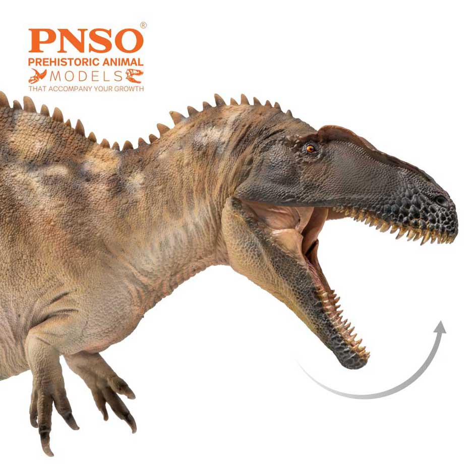 PNSO Acrocanthosaurus atokensis model.