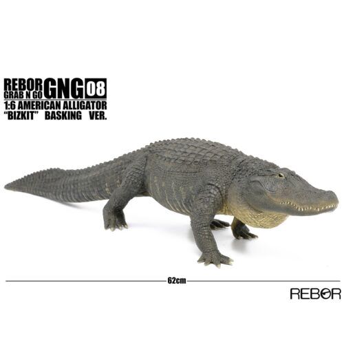 【希少】DEVOA.×GUIDI Neck Parts Rex Rabbit. Jurassic Park T-Rex Toy With Bite Action Button On Top Of