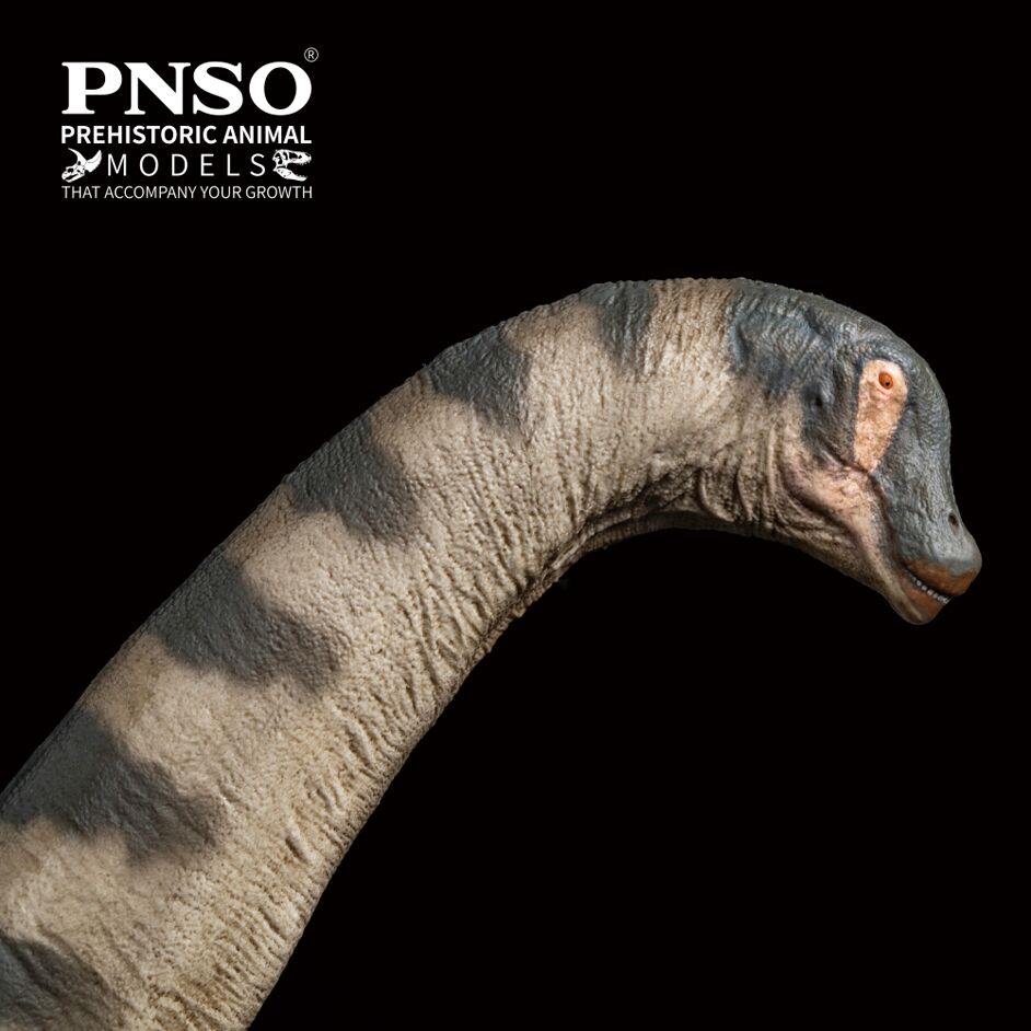 PNSO Samuel the Alamosaurus
