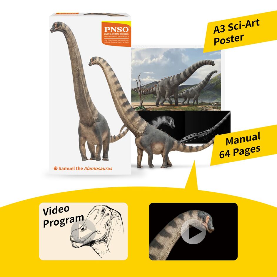 Alamosaurus accessories.