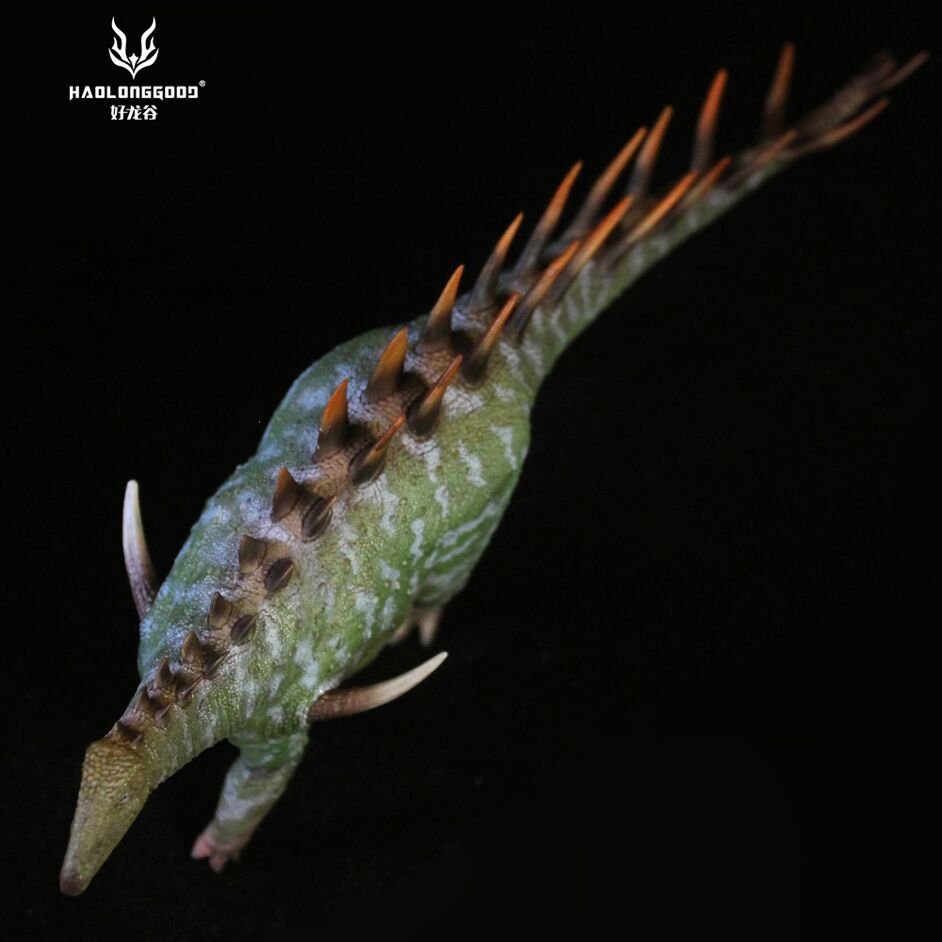 Green Dacentrurus in dorsal view.