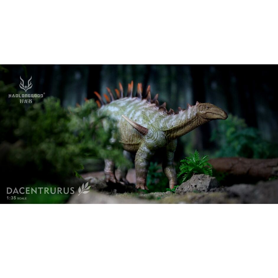 Haolonggood Dacentrurus (Xu Ning)