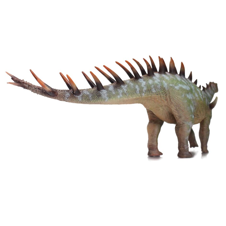 Haolonggood Dacentrurus (Xu Ning) in posterior view.