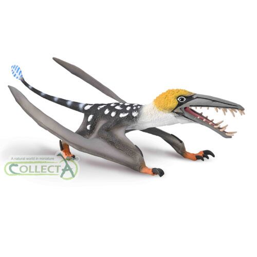 Collcta ザトウクジラ wyw801m Amazon.com: Collecta, Color Does not Apply : Toys & Games