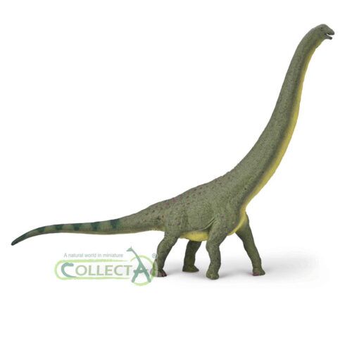 Collcta ザトウクジラ wyw801m Exmoor Pony Stallion - Collecta Figures: Animal Toys