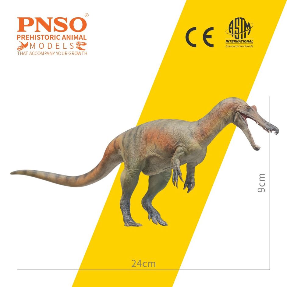 PNSO Baryonyx model measurements.